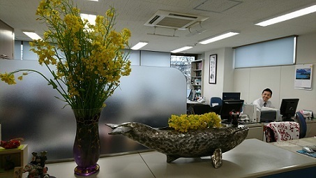 菜の花写真1.jpg